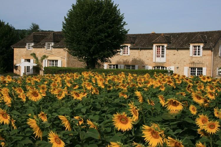 Domaine Des Hirondelles Villa Saint-Vincent-de-Cosse Rom bilde